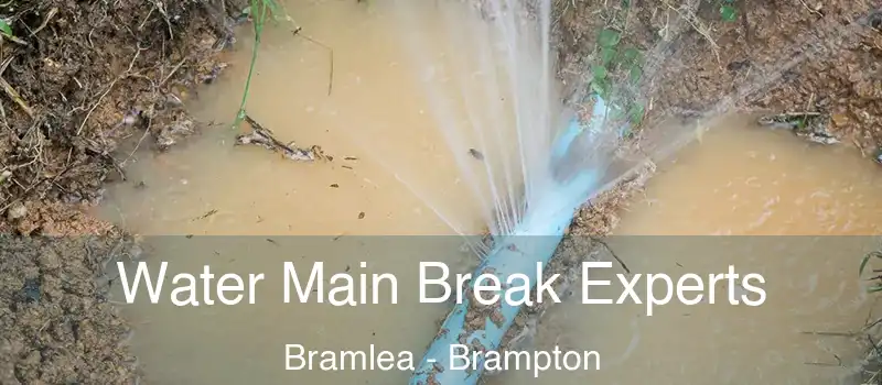  Water Main Break Experts Bramlea - Brampton