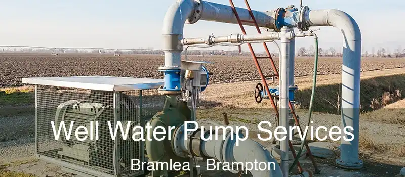  Well Water Pump Services Bramlea - Brampton